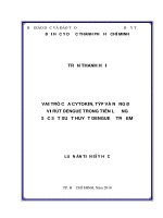 Vai trò của cytokin, týp và nồng độ vi rút dengue trong tiên lượng sốc sốt xuất huyết dengue ở trẻ em 