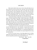 Nghiên cứu giá trị điện tâm đồ bề mặt trong chẩn đoán định khu đường dẫn truyền phụ ở bệnh nhân có hội chứng wolff   parkinson   white điển hình 