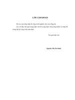 Phát triển nguồn nhân lực cho trung tâm truyền hình việt nam tại thành phố đà nẵng 