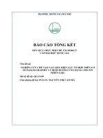 Nghiên cứu chế tạo vật liệu điện cực tổ hợp trên cơ sở pt,pd,ni GRAPHIT và định hướng ứng dụng cho pin nhiên liệu 