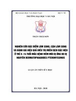 Nghiên cứu đặc điểm lâm sàng, cận lâm sàng và đánh giá hiệu quả điều trị miễn dịch đặc hiệu ở trẻ 6  14 tuổi mắc bệnh VMDƯ do dị nguyên Dermatophagoides Pteronyssinus (Luận án tiến sĩ)