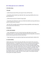 Những ngôi sao xa xôi   lê minh khuê  