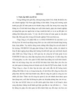 Hoàn thiện tổ chức kế toán quản trị tại tổng công ty cổ phần đầu tư và XNK FOODINCO 