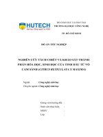 Đồ án tốt nghiệp NGHIÊN CỨU TÁCH CHIẾT VÀ KHẢO SÁT THÀNH PHẦN HÓA HỌC, SINH HỌC CỦA TINH DẦU TỪ VỎ CAM SÀNH (CITRUS RETICULATA X MAXIMA)