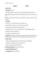 Giáo án Hóa học 12 bài 9: Amin