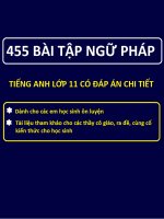 455 Bài tập trắc nghiệm ngữ pháp Tiếng Anh lớp 11 có đáp án chi tiết