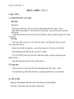 Giáo án Hóa học 12 bài 9: Amin