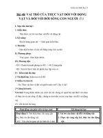 Giáo án Sinh học 6 bài 48: Vai trò của thực vật và động vật đối với đời sống con người
