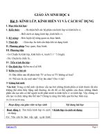 Giáo án Sinh học 6 bài 5: Kính lúp kính hiển vi và cách sử dụng