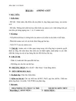 Giáo án Hóa học 12 bài 10: Amino axit