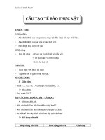 Giáo án Sinh học 6 bài 7: Cấu tạo tế bào thực vật