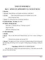 Giáo án Sinh học 6 bài 5: Kính lúp kính hiển vi và cách sử dụng