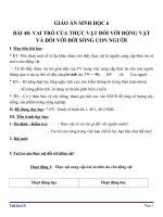 Giáo án Sinh học 6 bài 48: Vai trò của thực vật và động vật đối với đời sống con người