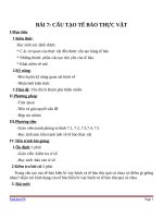 Giáo án Sinh học 6 bài 7: Cấu tạo tế bào thực vật