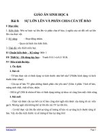 Giáo án Sinh học 6 bài 8: Sự lớn lên và phân chia tế bào