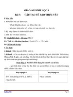 Giáo án Sinh học 6 bài 7: Cấu tạo tế bào thực vật