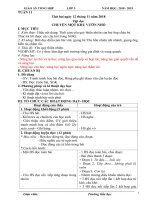 Tuần 11 giáo án lớp 5 soạn theo ĐHPTNLHS năm học 2018   2019 