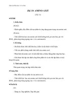 Giáo án Hóa học 12 bài 10: Amino axit