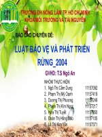 Thuyết trình báo cáo chuyên đề luật bảo vệ và phát triển rừng 2004 