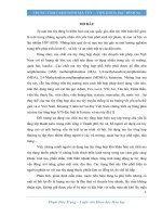 Nghiên cứu xây dựng phương pháp phát hiện methamphetamine trong mẫu tóc bằng phương pháp sắc kí khí khối phổ kép 