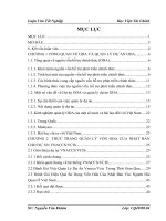 Luận văn tốt nghiệp : Quản lý nguồn vốn tài trợ của Nhật Bản cho Dự án VNACCSVCIS