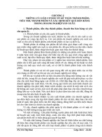 Luận văn kế toán kiểm toán : Kế toán bán hàng xác định kết quả kinh doanh của doanh nghiệp sản xuất