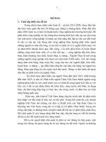 Vận dụng kế toán quản trị tại công ty cổ phần than miền trung 