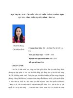 NGHIÊN CỨU KHKT: THỰC TRẠNG, NGUYÊN NHÂN VÀ GIẢI PHÁP PHÒNG CHỐNG BẠO LỰC GIA ĐÌNH