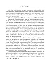 Luận văn tốt nghiệp : Công tác tổ chức tiền lương và các khoản trích theo lương tại công ty XNK và hợp tác quốc tế Coalimex