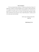 Chiến lược cạnh tranh của Công ty Cổ phần Mavin Austfeed (Luận văn thạc sĩ)