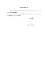 Đầu tƣ FDI của Trung Quốc tại Việt Nam, thực trạng và triển vọng (Luận văn thạc sĩ)