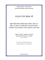 Biện pháp phát triển hoạt động cho vay phục vụ nhu cầu đời sống tại ngân hàng thương mại cổ phần Công Thương Việt Nam (Luận văn thạc sĩ)