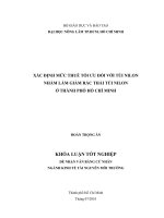 XÁC ĐỊNH MỨC THUẾ TỐI ƯU ĐỐI VỚI TÚI NILON NHẰM LÀM GIẢM RÁC THẢI TÚI NILON