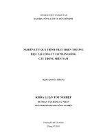 NGHIÊN CỨU QUÁ TRÌNH PHÁT TRIỂN THƯƠNG HIỆU TẠI CÔNG TY CỔ PHẦN GIỐNG CÂY TRỒNG MIỀN NAM