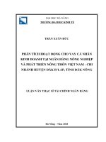 Phân tích hoạt động cho vay cá nhân kinh doanh tại ngân hàng nông nghiệp và phát triển nông thôn việt nam  chi nhánh huyện đăk r’lấp, tỉnh đăk nông