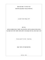 Kinh nghiệm phát triển thị trƣờng chứng khoán phái sinh tại một số nƣớc trên thế giới và bài học rút ra cho Việt Nam (Luận văn thạc sĩ)