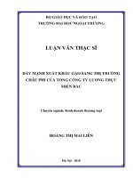 Đẩy mạnh xuất khẩu gạo sang thị trường Châu Phi của Tổng Công ty lương thực miền Bắc (Luận văn thạc sĩ)