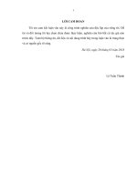 Hạn chế rủi ro trong hoạt động thanh toán quốc tế tại Ngân hàng TNHH Indovina (Luận văn thạc sĩ)