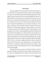 Luận văn tốt nghiệp : Các giải pháp tài chính chủ yếu nâng cao hiệu quả tổ chức sử dụng vốn kinh doanh tại Công ty cổ phần quốc tế Sơn Hà