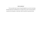 Phát triển cho vay cá nhân tại Ngân hàng Thƣơng mại cổ phần Công thương Việt Nam – Chi nhánh Nam Định (Luận văn thạc sĩ)