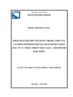 Kiểm soát rủi ro tín dụng trong cho vay cá nhân kinh doanh tại Ngân hàng TMCP Đầu tư và Phát triển Việt Nam – Chi nhánh Đăk Nông