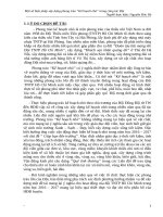 SKKN: Một số biện pháp xây dựng phong trào “Kế hoạch nhỏ” trong công tác Đội