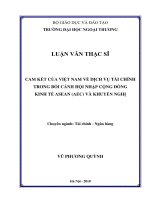 Cam kết của Việt Nam về dịch vụ tài chính trong bối cảnh hội nhập Cộng đồng Kinh tế ASEAN (AEC) và khuyến nghị (Luận văn thạc sĩ)