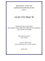 Thị trường thẻ tại ngân hàng nông nghiệp và phát triển nông thôn việt nam (AGRIBANK) – thực trạng và giải pháp (Luận văn thạc sĩ)