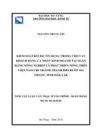 Kiểm soát rủi ro tín dụng trong cho vay khách hàng cá nhân kinh doanh tại ngân hàng nông nghiệp và phát triển nông thôn việt nam – chi nhánh thành phố buôn ma thuột, tỉnh đăk lăk (tt) 