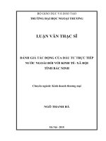 Đánh giá tác động của đầu tư trực tiếp nước ngoài đối với kinh tế xã hội tỉnh Bắc Ninh (Luận văn thạc sĩ)