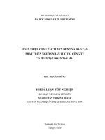 HOÀN THIỆN CÔNG TÁC TUYỂN DỤNG VÀ ĐÀO TẠO PHÁT TRIỂN NGUỒN NHÂN LỰC TẠI CÔNG TY CỔ PHẦN TẬP ĐOÀN TÂN MAI