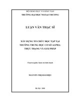 Xây dựng Tổ chức học tập tại Trường Trung học cơ sở Alpha Thực trạng và Giải pháp (Luận văn thạc sĩ)