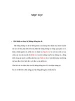 Luận văn Điều chế số BPSK