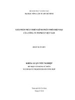 GIẢI PHÁP PHÁT TRIỂN KÊNH PHÂN PHỐI HIỆN ĐẠI CỦA CÔNG TY PEPSICO VIỆT NAM